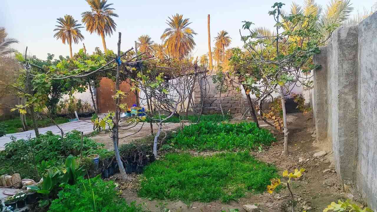 السلام عليكم
قطعة أرض للبيع طابو اسود بستنة المساحة دونم(2500  متوفر جميع الخدمات المكان الرميثة منطقة الصويحية ؟

#للاستفسار ***********
