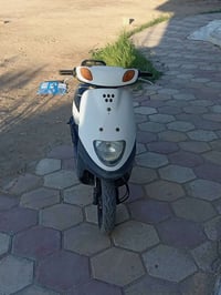 منغولي للبيع او مراوس  لايت بك لايت.  قفل ستيرن..  شلعه ومعدل تايراته ...