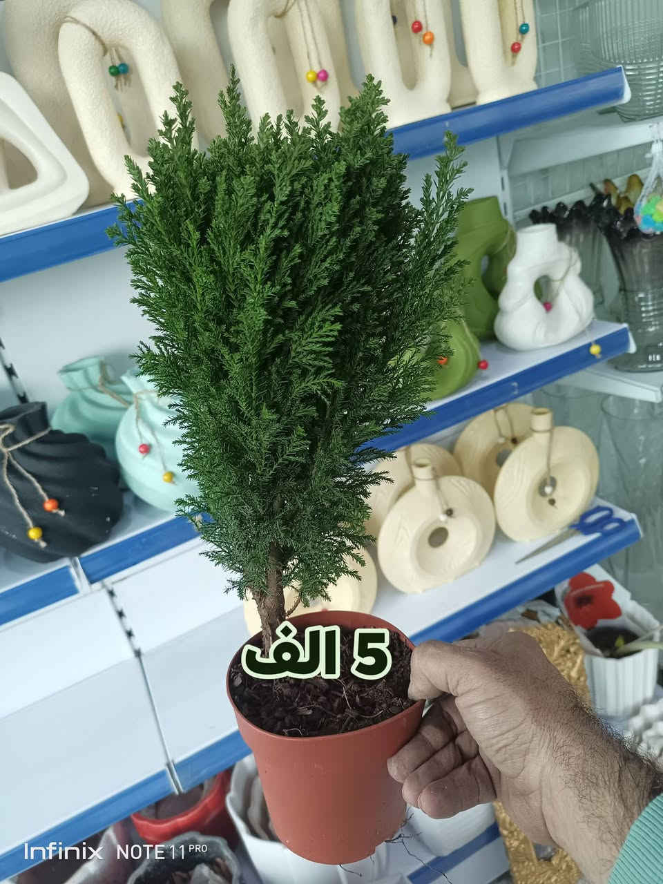 الانبار الرمادي العزيزية مكان الجديد...من جهة شارع العام  شارع ميسلون  اول فرع على اليمين *********** ... يوجد توصيل داخل الرمادي. @الجميع
