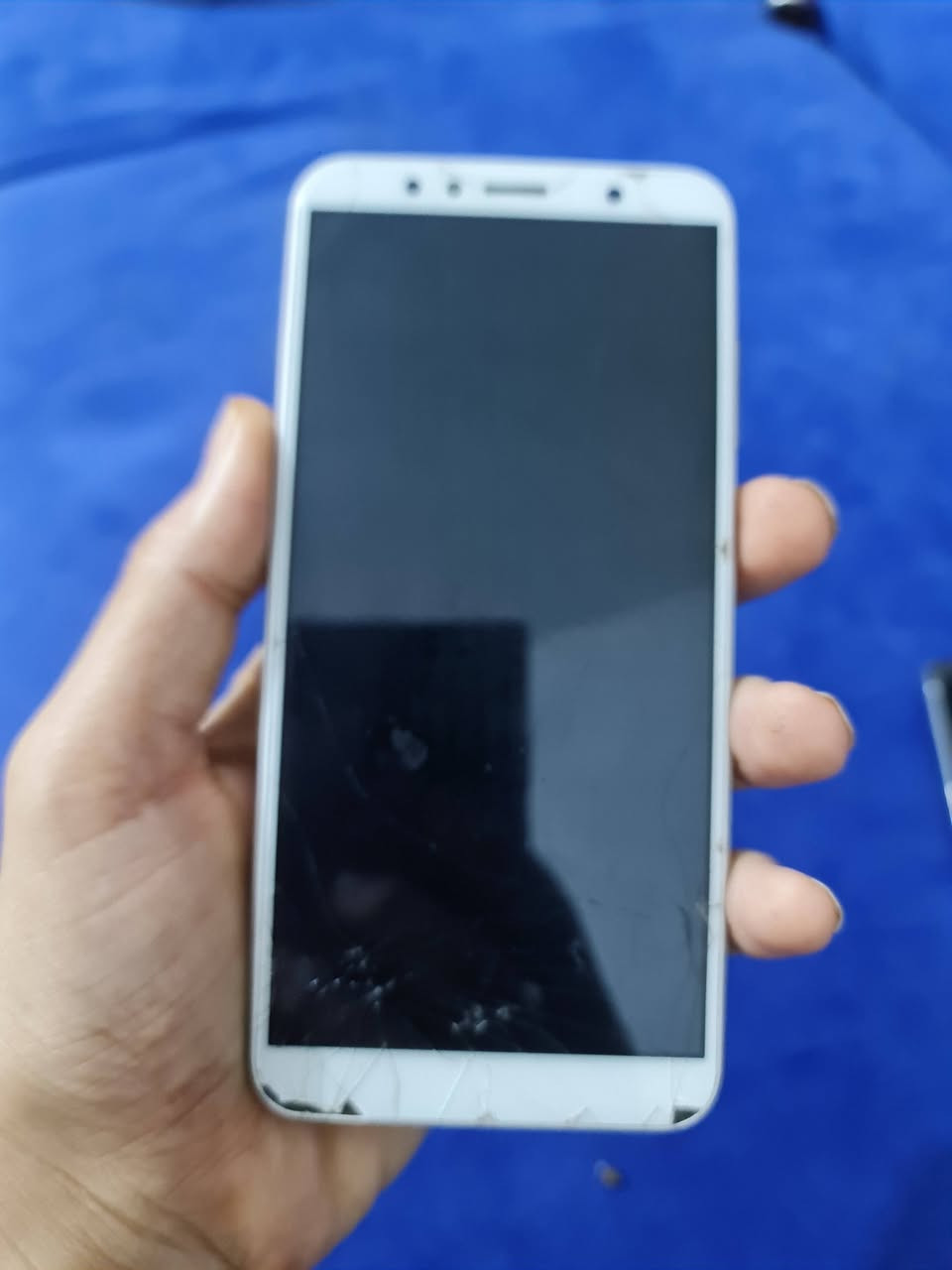 هونر x7
الذكره 32
مفطوره بلزمه 
المكان كربلاء
السعر 50بس
***********
***********
