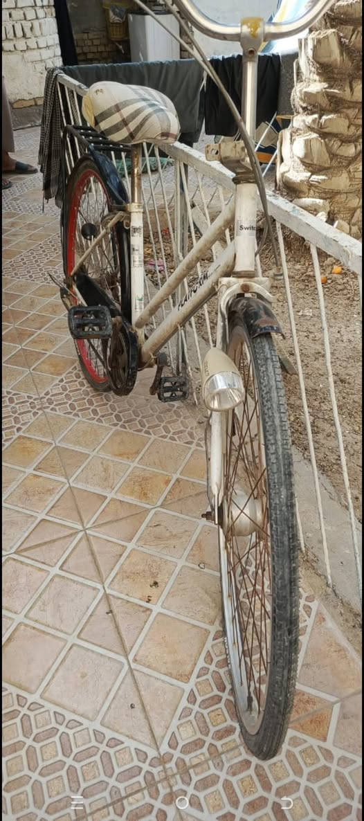 ***********.        راعيه انامكلف
