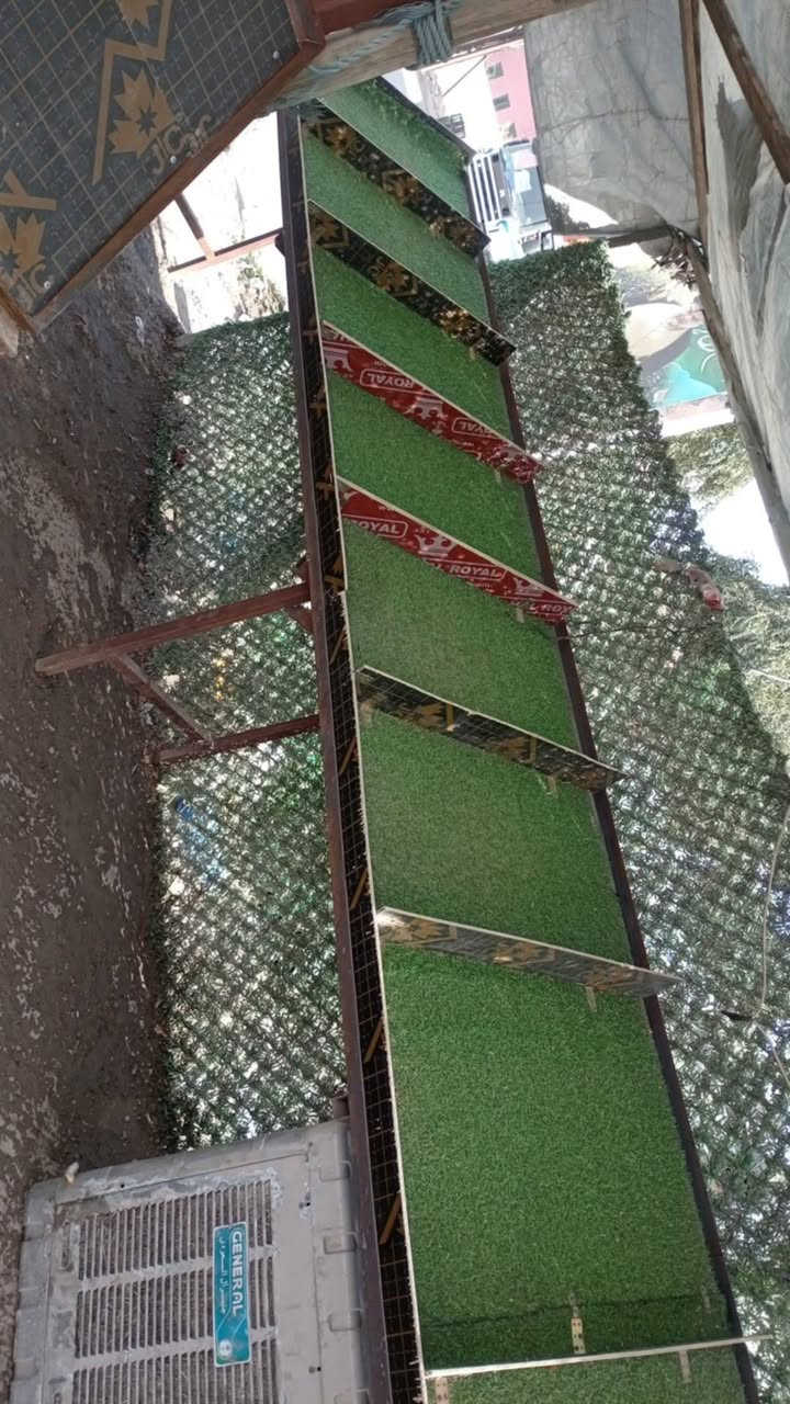 السلام عليكم ميوزه مال مخضر للبيع مكلف بنشر التواصل ***********
