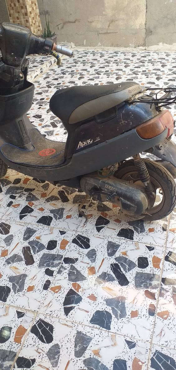 سلام عليكم موطور لبيع طفه ما عرف شبي البيع فحم في فحم السعر 90


**إذا كنت صاحب هذا الإعلان وتريد حذفه لأي سبب، رجاءا أرسل رسالة إلى الدعم الفني**