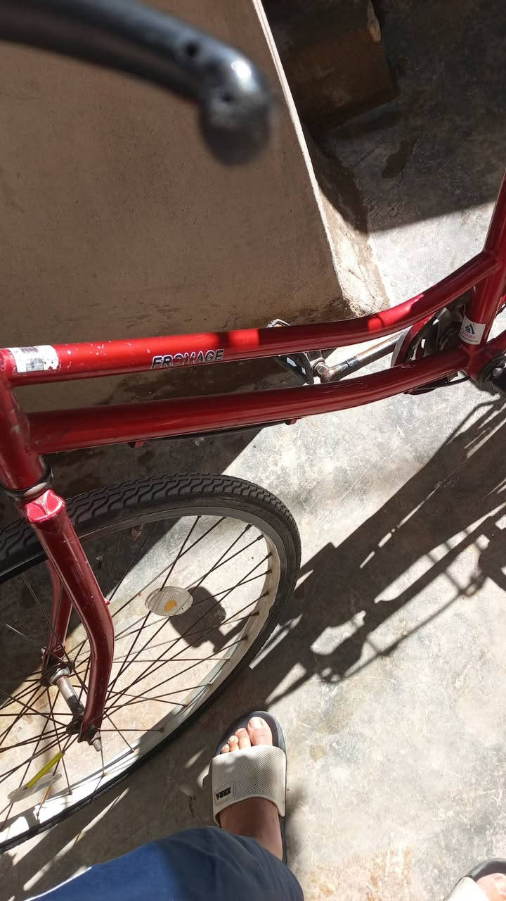 با سكل البيع والسعر 70قفل الو مروس حسب القناعه مكاني كركوك


**إذا كنت صاحب هذا الإعلان وتريد حذفه لأي سبب، رجاءا أرسل رسالة إلى الدعم الفني**