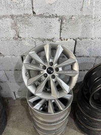 ويل كلب 17 • مكفول • كربلاء طويريج