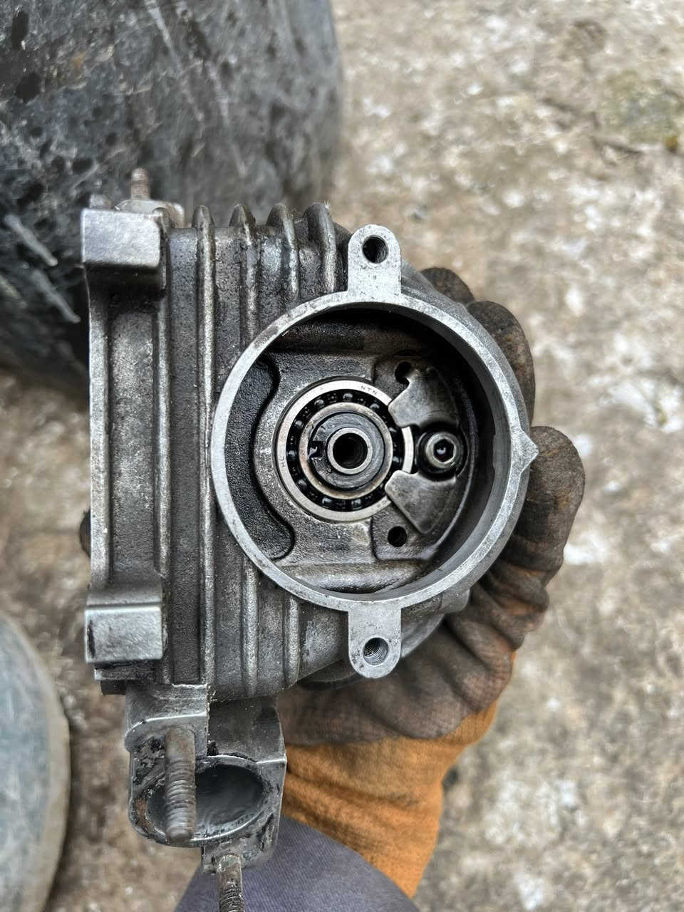 للبيع كور وألفين كبار جديد كلش عل شغل  أو للمراوس بتزويد بفسجي
توصيل موجود كل العرق 
سعر خاص أو تصال 
***********
