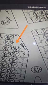 السماوه حي الحكم • ٣٣٠م • طلب البلدية