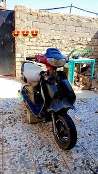 فراشه • نظيفه • كوفه