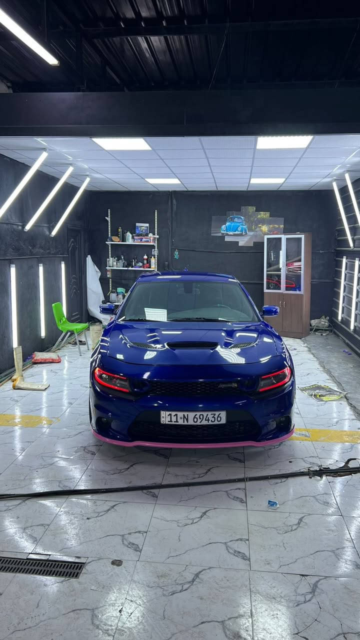 جارجر سكات باك 🐝
مديل 2021💙

سعر 224بيه مجال بسيط

حادثه قفط بنيد 

💙مواصفات💙
1_شاشه كبيره 
2_شفتات ستيرن
3_كشنات كهرباء 
4_كامره دواره
5_فجوج برمبو
6_تبريد ❄️ 
7_كير مكينه كفاله
8_اكسن حداديه كفاله
9_ويل نجمه خسفه قويه
10_رقم بغداد نكليزي بسمي
11_ستيرن تدفى +كشنات تدفى
12_كير مكينه كفاله
13_ماشيه 66
14_يوجد سونارات ثنين داخل المنشور

مكاني كربلاء 
((مكلف بل نشر شراي يتصل خاص مغلق))
               ((فقط بيع بدون مراوس))
رقم***********
