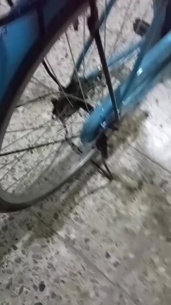 سلام عليكم شباب بايسكل للبيع السعر 90 وبي مجال لتواصل خاص  موديل 2022


**إذا كنت صاحب هذا الإعلان وتريد حذفه لأي سبب، رجاءا أرسل رسالة إلى الدعم الفني**