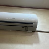 سبلت • توسوت ابو الطن