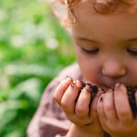 اضطراب بيكا • أكل حجارة • عيادة ضحى