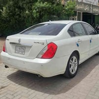 سافران • ٢٠٠٩ • ميسان المجر الكبير