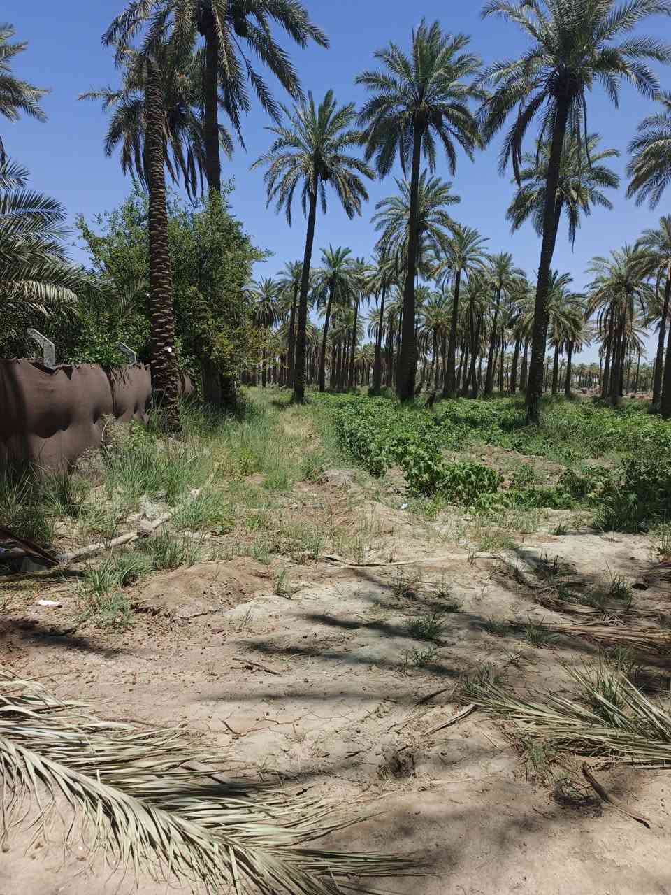 @اسلام عليكم 2دونم طابو زراعي لبيع سند 25 تحويل مباشر الواجه 45متر
مكان الرض الدسميه قريبه من الطبر اطوريج مكان كلش حلو
كل الخدمات متوفره بسعر مناسب استفسار اتصال ع
***********                 ***********
