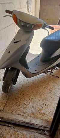 عصفورية • نظيفه • اوراق كامله