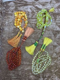 كركشاني • سبح • الرمادي