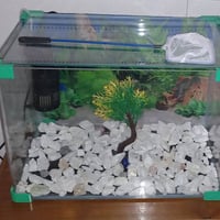 حوض زينة • ٥٠×٣٠ • ماطوره فلتر