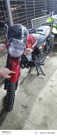 شيلنك جديد • أوراق أصولية • ألوان متعددة