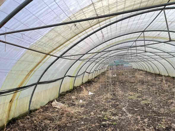 4 بەیتی ملیمو نیو بۆ فرۆشتن
لایلۆن و تەلی تازەیە
بە کامل ئەشیاکانیەوە
شوێن بازیان

سـعـر : لە کۆمێنت داوابکە ڕاستەوخۆ بۆت دێت 📥 

هیچ کێشەیەکی تێدا نییە 

ژمارەی خاوەنەکەی 
***********
