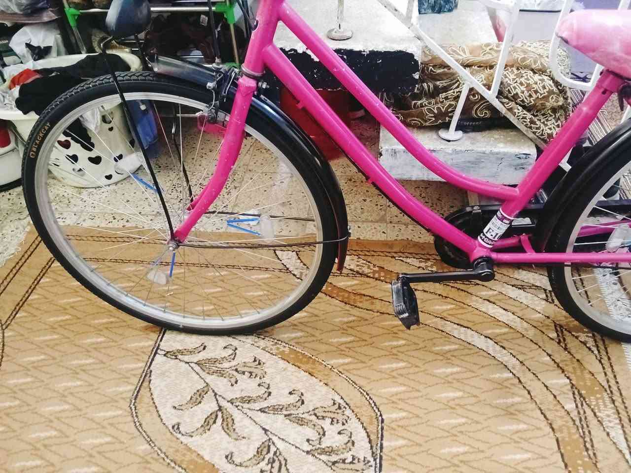 السلام عليكم بايسكل بناتي حجم 26 نظيف السعر 85 وبمجال للطيبين مكاني بغداد العامريه خلف نادي الخطوط يريده يراسلني على الواتساب


**إذا كنت صاحب هذا الإعلان وتريد حذفه لأي سبب، رجاءا أرسل رسالة إلى الدعم الفني**