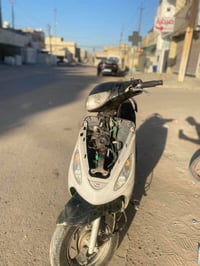 ماكس منغولي • جاهزة • معدل مخيفه
