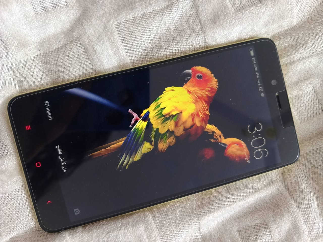 ريد مي هيج جاي ب ٣٠ مع التوصيل على اول تم 
ذ ١٦


**إذا كنت صاحب هذا الإعلان وتريد حذفه لأي سبب، رجاءا أرسل رسالة إلى الدعم الفني**