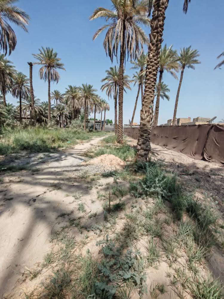 قطعه مساحتها 300متر العنوان بدايه بنشه نزله سعد بيجو طريق الزوار خدمات كامله تبعد عن جسر سيف سعد كيلو ونص وعن تبليط الرئيسي100متر
منطقه متكاملة من الخدمات سكنيه طابو زراعي سند25
مكتب وعقارات الوارث
***********
