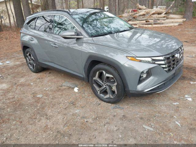 ...............هونداي توكسان موديل2024
Limeted..فوووول مواصفات 
لون أسمنتي المرغوب داخل جلدلون أسودملكي 
بدون أيرباك ماشية ٢٣حقيقي 
باقي شهر على موعدوصولهاللعقبةإن شاءالله 
سعرها واصلة للعقبة ب146ورقة
سعرها 167ورقةلمن لديه كتاب شهداء واصلة لبغداد باليوسفية 
....للأستفسار 
السيارة معروضة في مكتب شركة الجود للمزادات الامريكية لأستيراد ألسيارات وقطع ألغيار العنوان بغداد حي القاهرة شارع الضباط مقابل حسينية آل الرسول
 تلفون ***********
