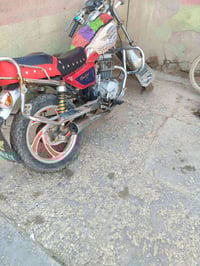 تايموته • كلك • مكفوله