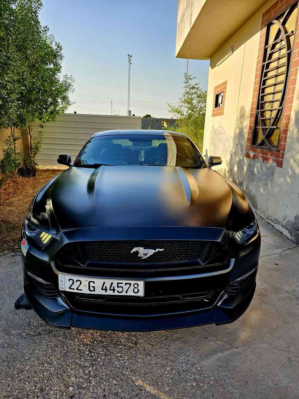 @الجميع
يا الله   السلام عليكم  
للبيع اؤ مراوس  موستنك 2016  GT 3700  ماشيه 140   اخوان ذاكر جميع التفاصيل اقرأ المنشور  السياره نضيفه %100 صدر امامي خلفي  تخم تاير كير مكينه شاصي كله شرط ترايك 500 كيلو متر ،، واحلا من الصور نصبتها    صبغ عام بدون دواخل اثر  جراد شماليه تحويل  وبسعر جدا مناسب  115$   مجالها تجي وتدلل 
***********   مكانها @واسط الصويره
