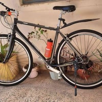 جينت فافون • سباق مسافات طويلة • ٨كغ