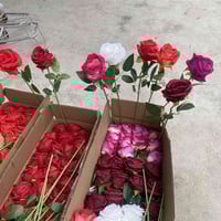 درزن • ديكور