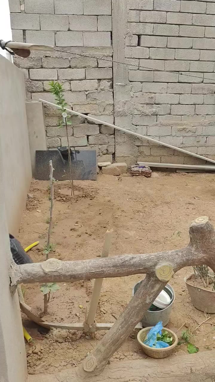 بيت بل قوسيات يم جمع يحيئ جقماقجي لي بيع .المسحه 160 بيت كمل السعر 35بي مجال 0776 472 2432 بي وتساب
