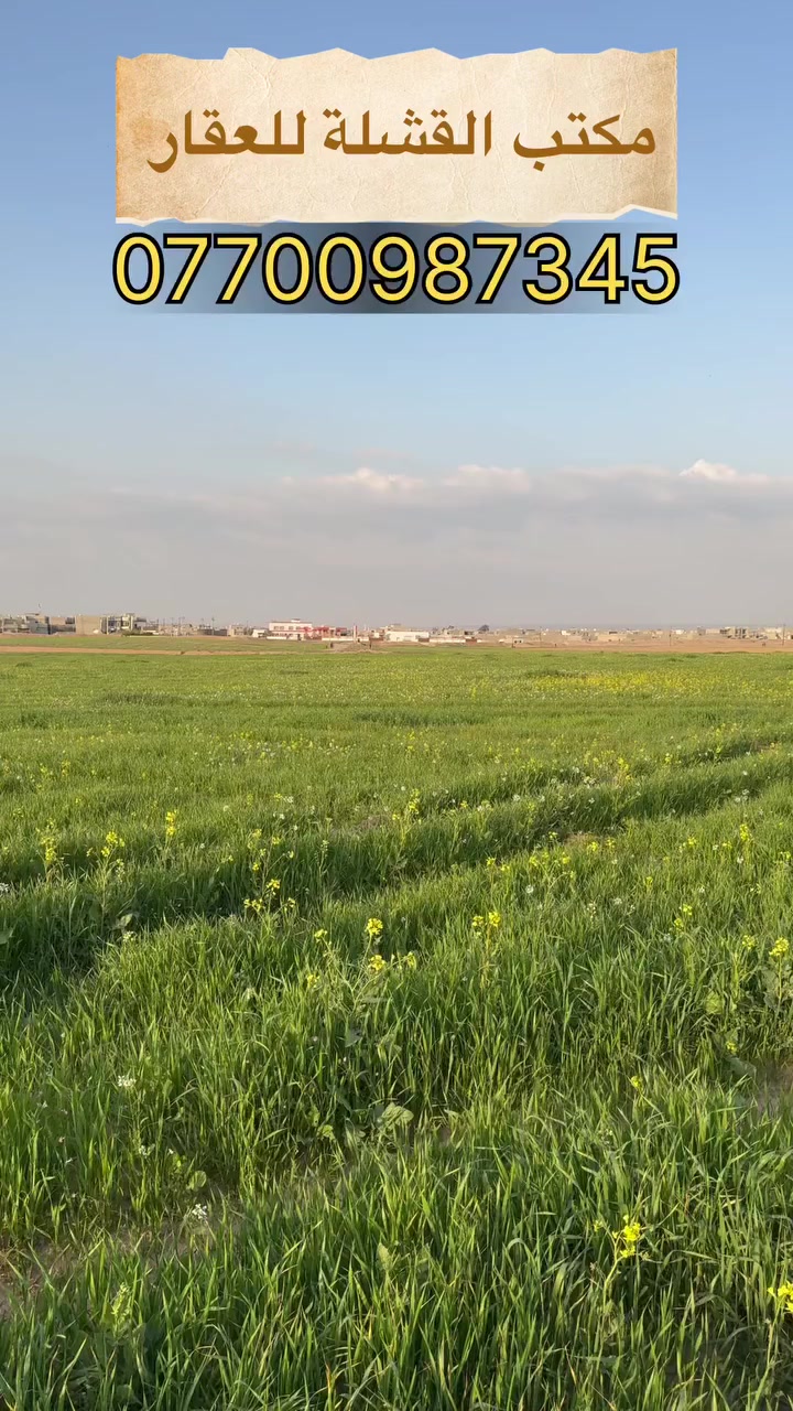 #مكتب_القشلة_للعقار #تم #صلاح #موقعنا #موقعنا #عقاراتي #اخبار #العراق #مشاهدات #بيان #قبيس #اكسبلور #كركوك #بيع #شراء #تسويق #ايجار #مجمع


**إذا كنت صاحب هذا الإعلان وتريد حذفه لأي سبب، رجاءا أرسل رسالة إلى الدعم الفني**