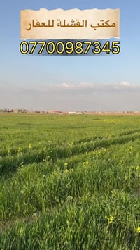 مكتب القشلة • كركوك • أرض