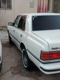 ١٩٨٢ • بدون ضربة • ابي الخصيب