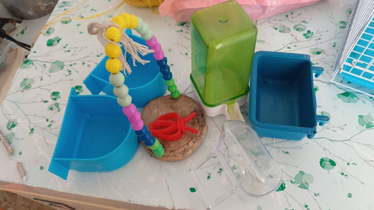 للبيع اقفاصه 3 مستخدمات نضيفات وياهن ماكليات 4 ومرجوحه ومطاره
كلهن ب25الف


**إذا كنت صاحب هذا الإعلان وتريد حذفه لأي سبب، رجاءا أرسل رسالة إلى الدعم الفني**