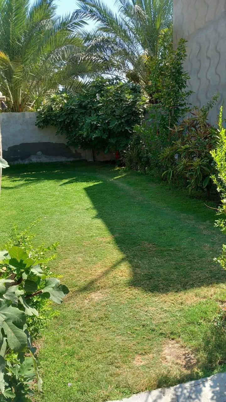 بيت مع حديقة للبيع 🏠

مساحة العقار : 400 متر ( 20*20 )

محتويات العقار : بيت  بمساحة 280 متر تحت البناء والحديقة 120 متر  / نوع البناء بلوك سنة 2019 حديث

جنس العقار : طابو زراعي سند 25 تحويل أسهم بإسم المشتري بالسند 

الخدمات المتوفرة : جميع الخدمات متوفرة _/ عرض الفرع 8 متر مقرنص  

السعر : 160مع مجال

عنوان العقار : كربلاء _ قرب الإمام عون عليه السلام  _ عمود 209 _ طريق بغداد / كربلاء عن الشارع العام 500 متر    _ تبعد عن الإمام الحسين (عليه السلام ) 8 كيلو تقريبا ر
رقم الهاتف***********
