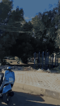 بوليس نوزل • موديل 2010 • كفالة عامه