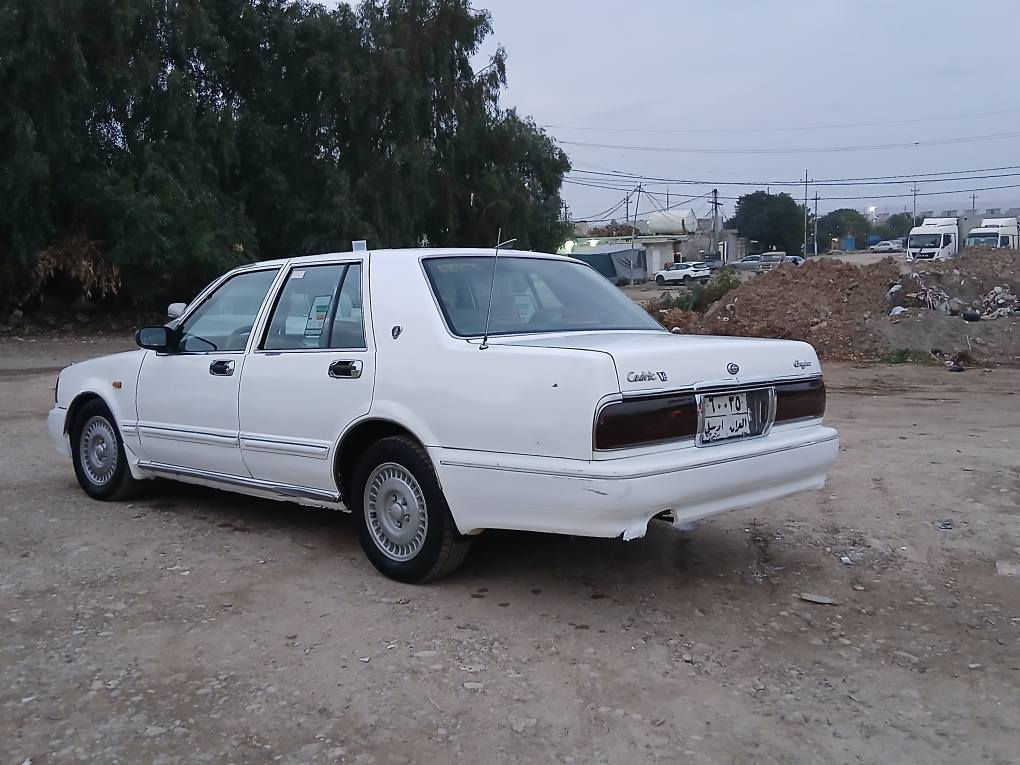 *********** بنجوين, السليمانية
