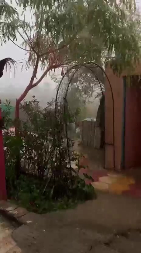 ارض زراعي طابو للبيع مستعجل
الارض الزراعي عباره عن مزرعه فاخره مكونه من دار براني ومطبخ وحمام داخلي اضافه الى حمام ومطبخ خارجي ونخيل بأنواعه  اضافة الى اسلاك كهربائية جديدة وماطور كهربائي بقوه 5 حصان وماطور سقي  
مساحة الارض دونمين وربع منطقه ام العگف


**إذا كنت صاحب هذا الإعلان وتريد حذفه لأي سبب، رجاءا أرسل رسالة إلى الدعم الفني**