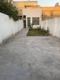 سكينة الزراعي • شارع التشجير • ١٦٠م