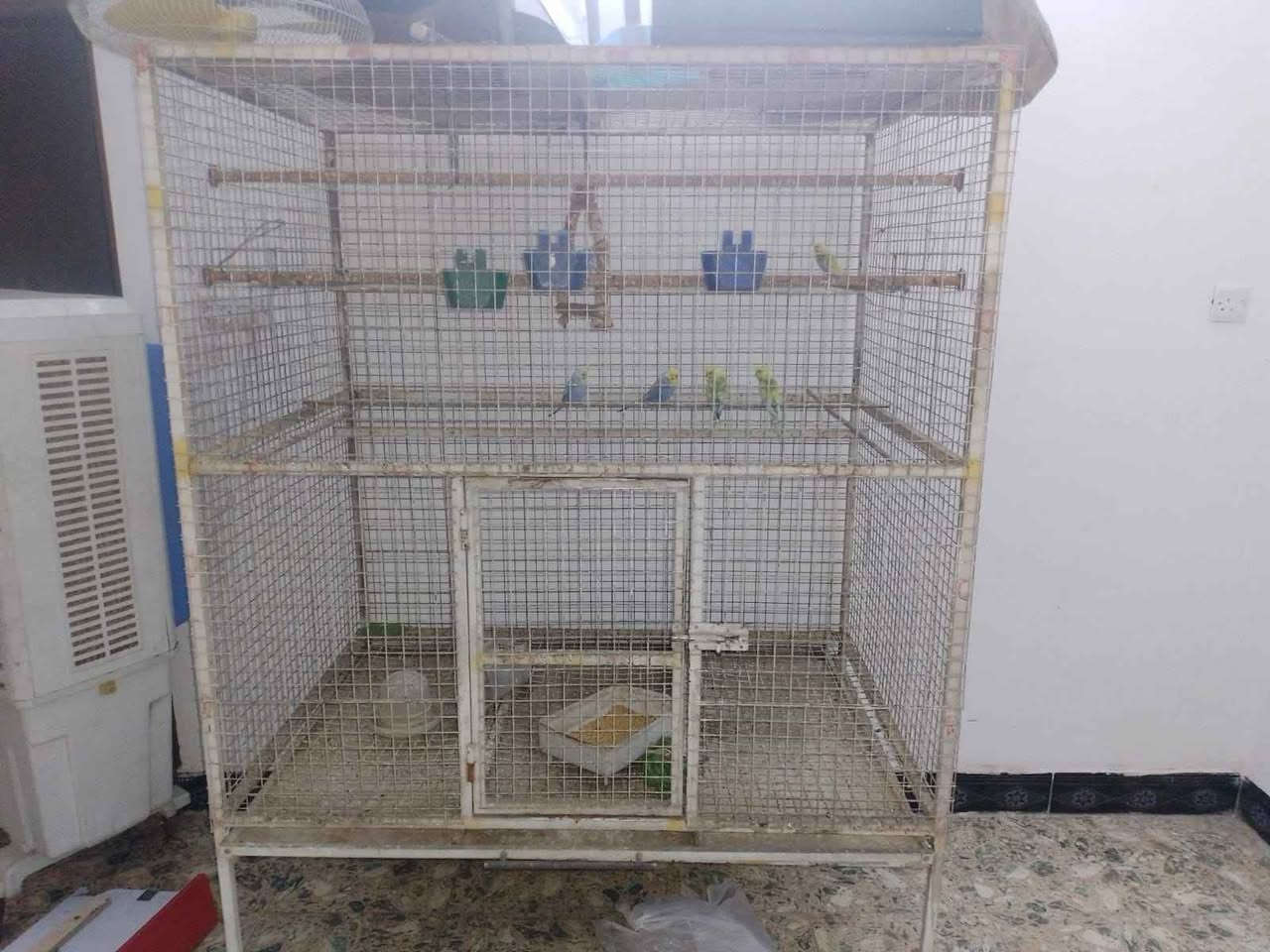 قفص لبيع سعر قفل 75موجود في حي جهاد مخابرات بغداد  كان في 40زوج غندور بغداد, العراق


**إذا كنت صاحب هذا الإعلان وتريد حذفه لأي سبب، رجاءا أرسل رسالة إلى الدعم الفني**