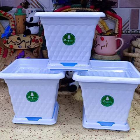 🎊عرض الف فقط الصور لي بالمنشورة 🎉 
🐞يتوفر لدينا جميع اكسسوارات نباتات 🕊️ 🚕توصيل كل محافظات العراق 🚕 
🚕الزرع لعرض فقط 🪴 
📞حجز على خاص ☎️
☎️***********📞
