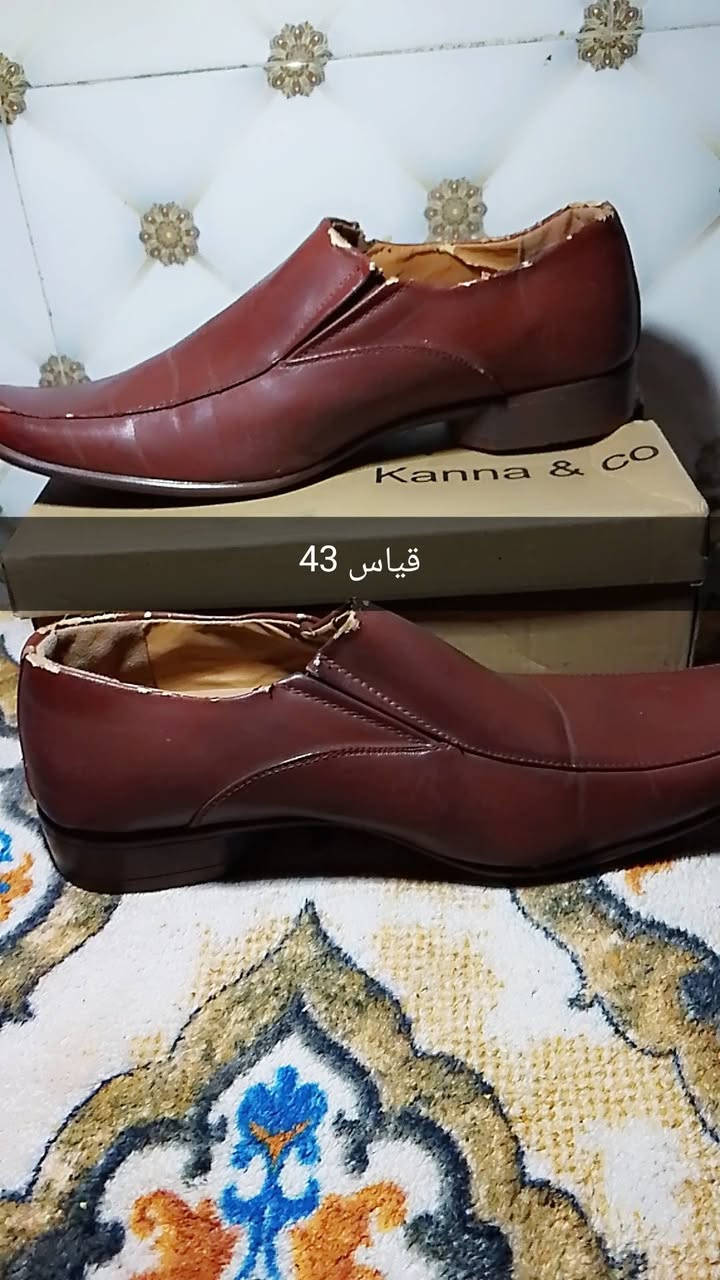 بيهن جديد مامستخدم وبيهن مستعمل
احذيه نسائيه ورجاليه اسعار رخيصه السعر الي يعحبك


**إذا كنت صاحب هذا الإعلان وتريد حذفه لأي سبب، رجاءا أرسل رسالة إلى الدعم الفني**