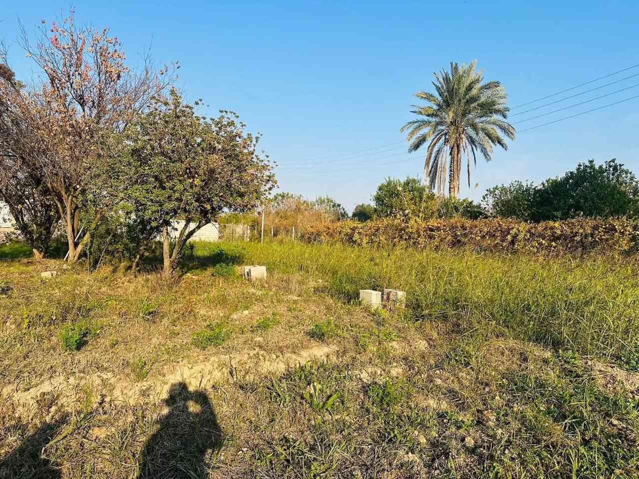 السلام عليكم 
قطعه ارض +هيكل للبيع (عل طريق الصخيل )
المساحه :2450 م
للاراغبين بل شراء الاتصال عل الارقام التاليه :
او زياره مكتب الصالح للعقار
***********
‭0785 737 1712‬
***********
