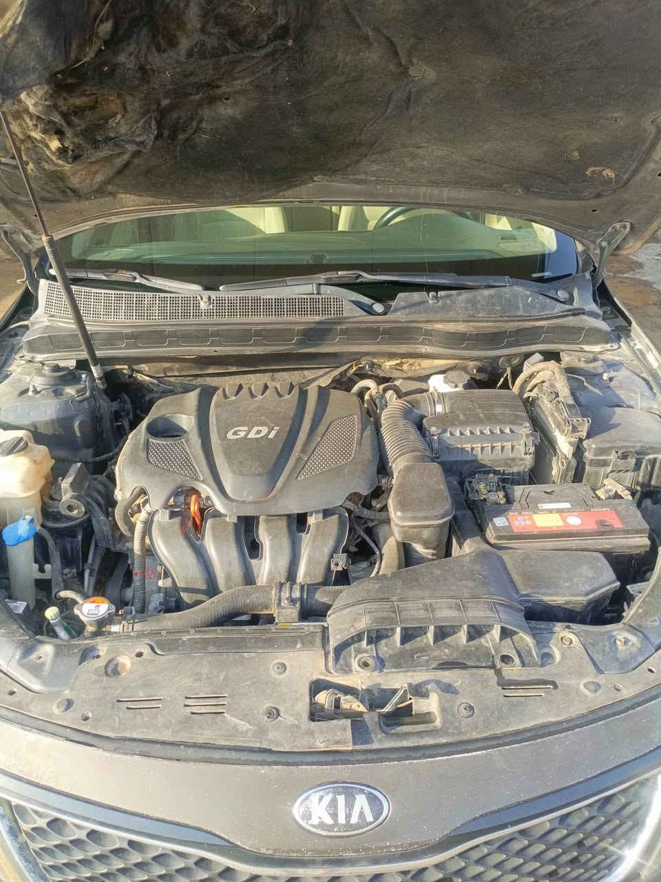 السلام عليكم
كيا اوبتما 2014 وراد امريكي 

السياره باسمي رقم دولي 
ضربته جاملغ جهة السايق امريكى 
السعر105$ بيها مجال 
العنوان الديوانيه
رقم الهاتف 
***********
