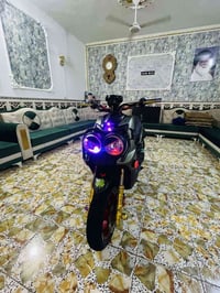 سكنس جبلي • مزود • كوت مركز