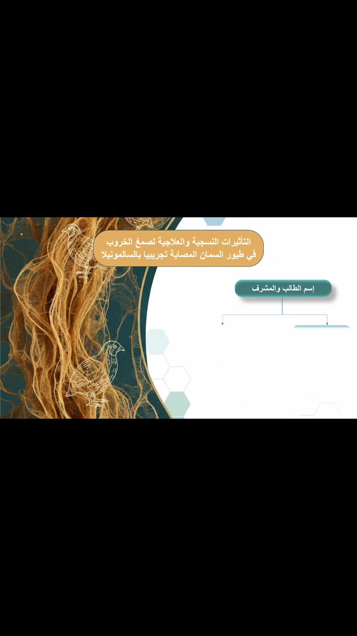 يتوفر لدى المكتب تصميم عرض تقديمي وهو يستخدم في عرف المشاريع او طرح افكار معينة لجمهور معين حيث يتم تلخيص مشروعك او افكارك في واجهة تفاعلية تتكون من بعض السلايدات للاستفسار اكثر التواصل عن طريق المراسلة او الاتصال 
══════ ❁✿❁ ═══════

#مكتبة_دريم_لاند  #نينوى #تنويه_هام 

قناة التلي: 

وانضم لقناة التلگرام لتصلك جميع الاخبار عبر الرابط👇
https://t.me/dream_land23

الانستگرام:

https://www.instagram.com/dream_land233?igsh=NDl5ejJmdWtxeHow

فيس بوك:

https://www.facebook.com/share/1AKcHnbMWo/

حساب التلي :

@dreamland233

للاستفسار اكثر مراسلة الصفحة او الاتصال على يوجد واتساب:

***********-***********

مكتبة دريم لاند-حي دوميز-مجاور جامع السورجي
