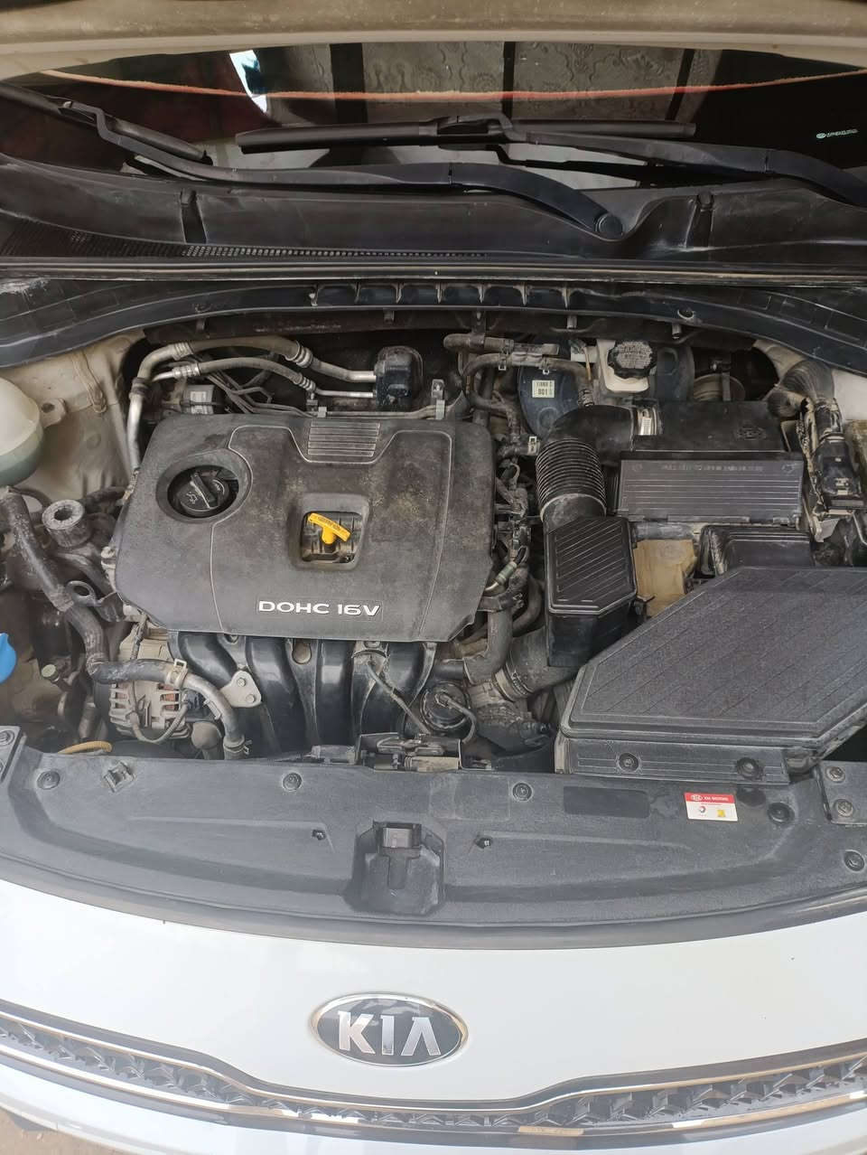 للبيع سبورتج 16 شكل 2017 خليجي رقم بغداد انكليزي بانوراما سنوية وهزة جديد تحويل ثاني يوم مكفولة كفالة عامة من الصبغ والضربة فقط خدوش ضمان الدولية محرك 2000 دوش المرغوب داخل لونين اسود وبيجي اشاير بالمري مري شفط حساسات امامية وخلفية ثلاث وضعيات للقيادة  ( اوتو سبورت ايكو ) ويلكب ١٩ السيارة كلشي متذب عليها سستم صوت JBL تبريد قطعتين سويجات اثنين وياها ماشية ١٤٤ ألف كلم
 السعر175$
السيارة سويت عليها ادامة كاملة تشمل منظومة الوقود تبديل فيت بم كاربيد وواحد احتياط ومنظومة التبريد فريز جديد دسكات جديد لأربعة اطارات تبديل زيت الكير امزويل أمريكي تبديل ماء الراديتر نوعية ياباني تبديل دهن البريك تبديل الدرع أسفل السيارة دوشمة جديدة مكان السيارة بغداد الحسينية 
 للأستفسار ***********
